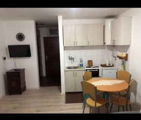 Apartman Ema,Bela Reka,Brzece